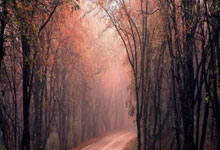 击退热刺跻身英超前四 瓜迪奥拉：曼市必将再次崛起.