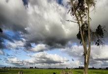 乐竞体育官网：山东90-116不敌辽宁 球员评价：刘毅满分，5人及格，6人崩盘.